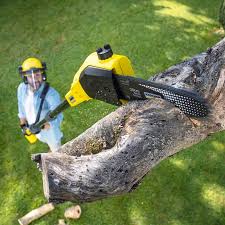 Best Lawn Pest Prevention  in Deshler, OH